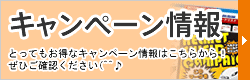 キャンペーン情報